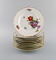 item no:
505210 item no:
505210
