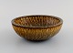 item no:
505217 item no:
505217