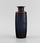 item no:
505791 item no:
505791