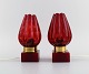 item no:
505831 item no:
505831