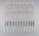 item no:
505843 item no:
505843