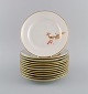 item no:
506508 item no:
506508
