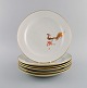 item no:
506509 item no:
506509