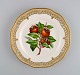 item no:
506543 item no:
506543