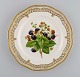 item no:
506545 item no:
506545