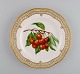 item no:
506547 item no:
506547