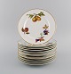 item no:
507200 item no:
507200