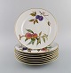 item no:
507207 item no:
507207