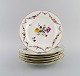item no:
509092 item no:
509092