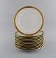 item no:
513685 item no:
513685
