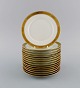 item no:
513691 item no:
513691