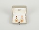 item no:
518759 item no:
518759