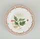 item no:
518782 item no:
518782