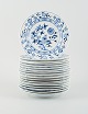 item no:
519119 item no:
519119