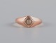item no:
519674 item no:
519674