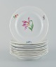 item no:
520455 item no:
520455