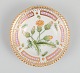 item no:
521447 item no:
521447