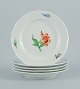 item no:
523093 item no:
523093