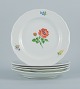 item no:
523094 item no:
523094