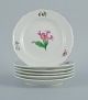item no:
523097 item no:
523097