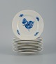 item no:
523768 item no:
523768