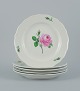 item no:
524707 item no:
524707