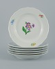 item no:
524722 item no:
524722