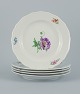 item no:
524723 item no:
524723