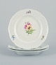 item no:
526494 item no:
526494