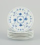 item no:
527689 item no:
527689