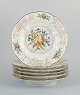 item no:
528460 item no:
528460