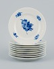 item no:
529251 item no:
529251