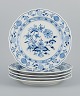 item no:
529870 item no:
529870