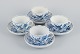 item no:
529881 item no:
529881