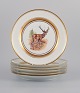 item no:
530438 item no:
530438