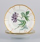 item no:
530440 item no:
530440