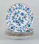 item no:
531144 item no:
531144