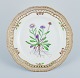 item no:
531394 item no:
531394