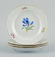 item no:
531972 item no:
531972