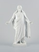 item no:
533007 item no:
533007