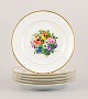 item no:
533946 item no:
533946
