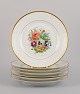 item no:
533954 item no:
533954