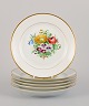 item no:
533956 item no:
533956