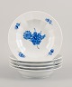 item no:
533972 item no:
533972