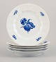 item no:
533973 item no:
533973