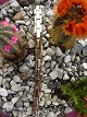 emne nr: 
53482