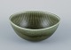 item no:
535711 item no:
535711