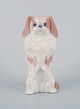item no:
536900 item no:
536900