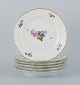 item no:
536906 item no:
536906