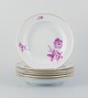 item no:
537336 item no:
537336